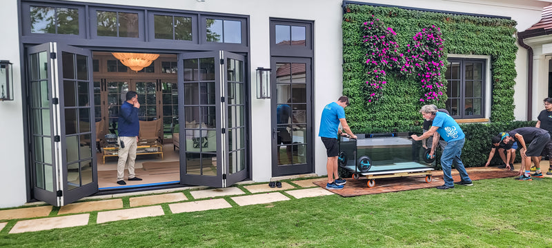 180 Gallon Red Sea 850 Centerpiece