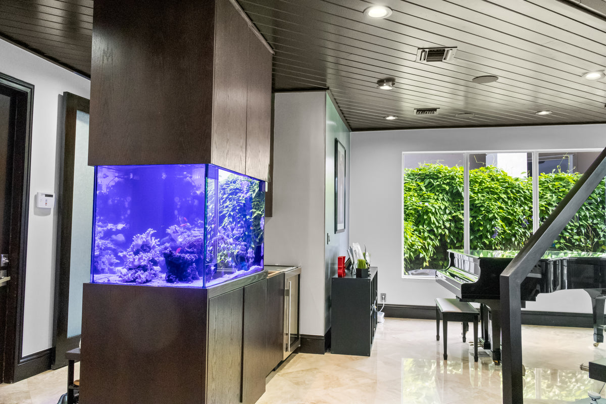 200 Gallon Custom Room Divider Reef