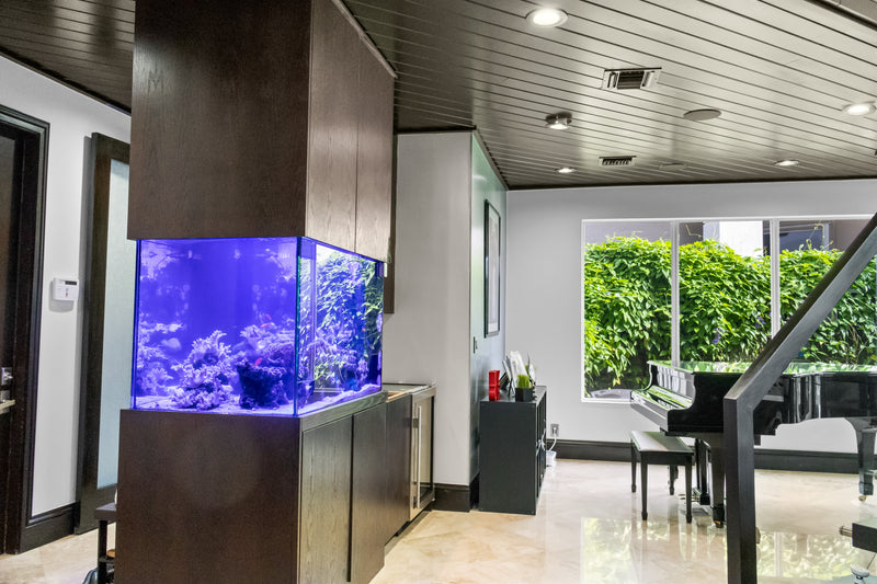 200 Gallon Custom Room Divider Reef