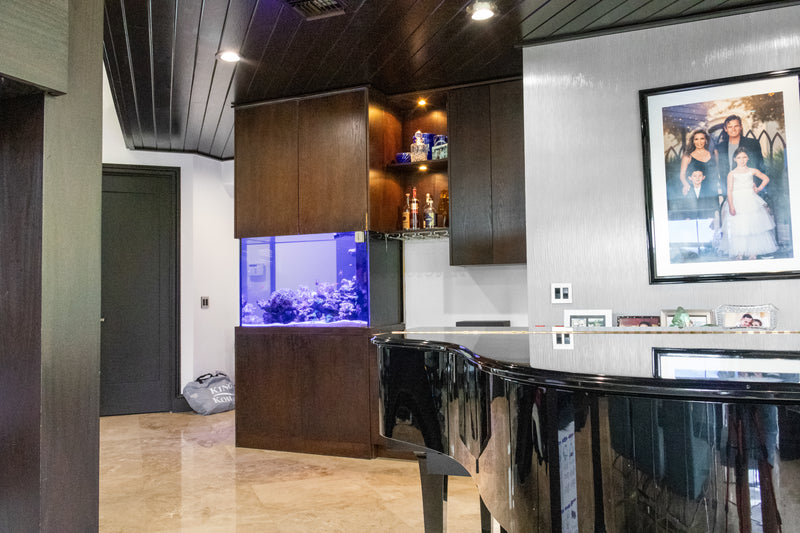 200 Gallon Custom Room Divider Reef