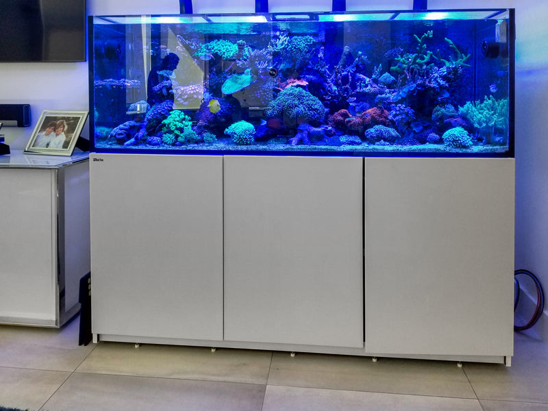 125 Gallon Red Sea 625XXL Showcase