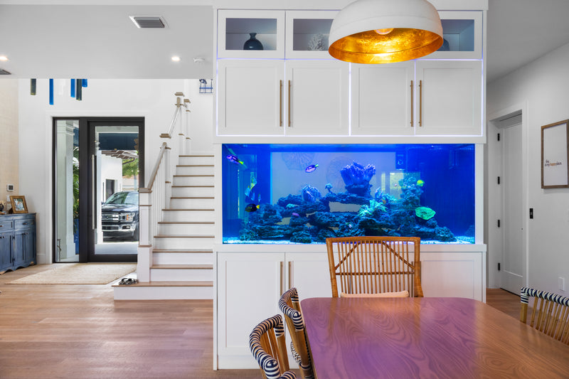 500 Gallon Modern Dining Reef