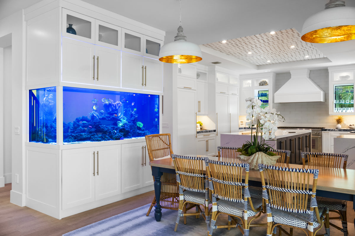 Blue Earth 500-Gallon Living Coral Showcase