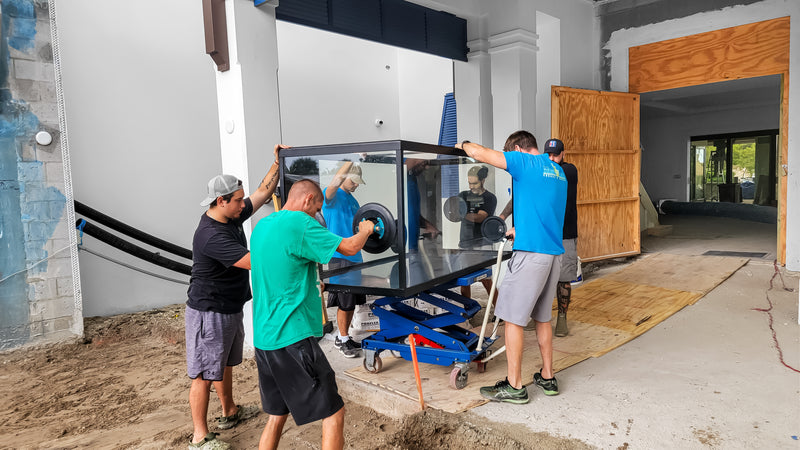 500 Gallon Modern Dining Reef
