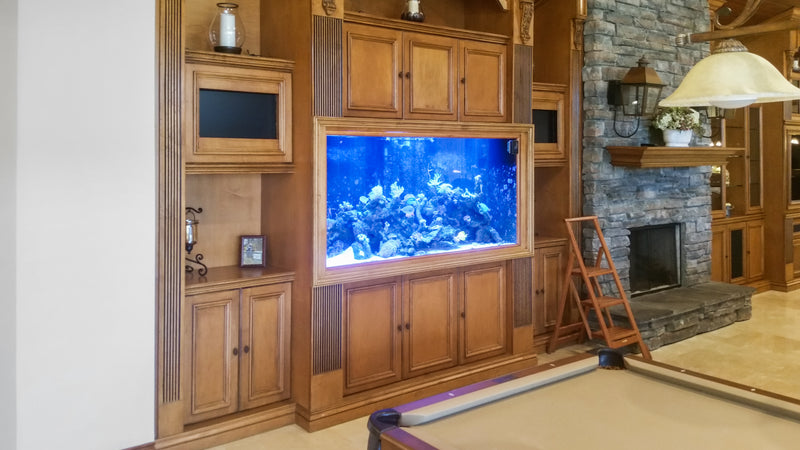 260 Gallon Rustic Living Reef
