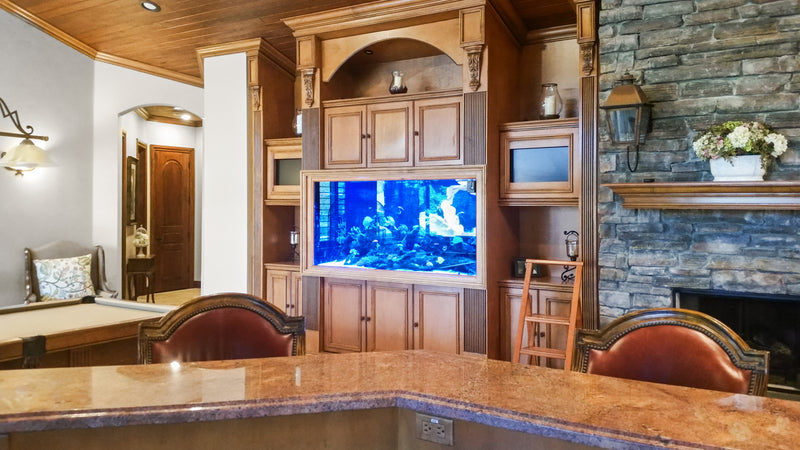 260 Gallon Rustic Living Reef