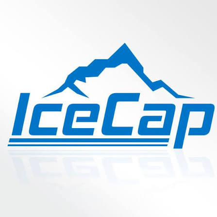 IceCap Zip Net Media Bag 8inx13in