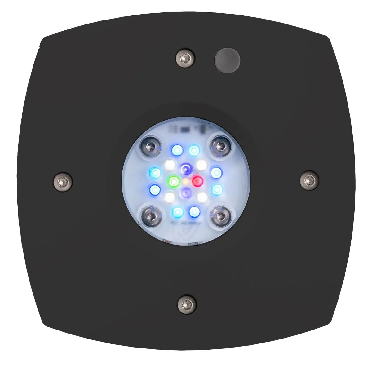 AquaIllumination Prime 16 HD LED Reef Light